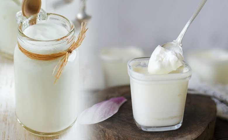 yogur natural casero