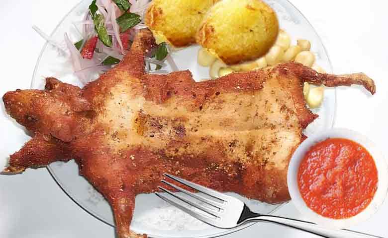 cuy chactado peruano