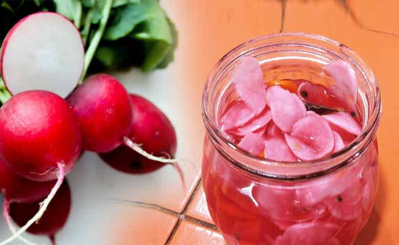 encurtido de rabanito